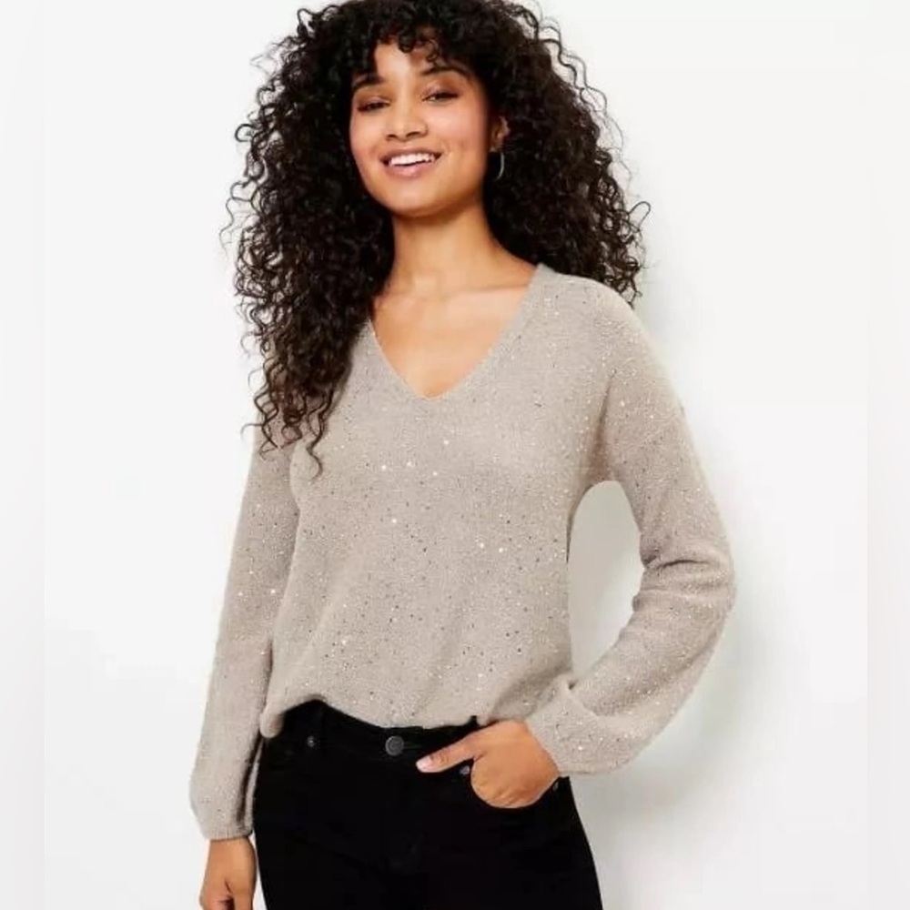 LOFT Sequin Sweater